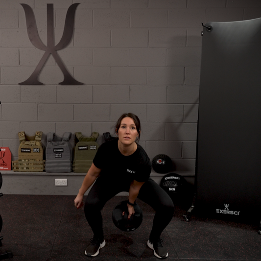 Exersci Medicine Balls with Handles Swing