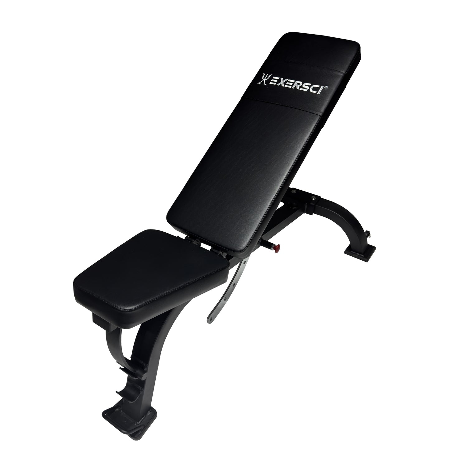 commercial workout bench from Exersci