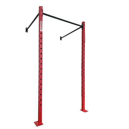 Exersci wall mounted rig