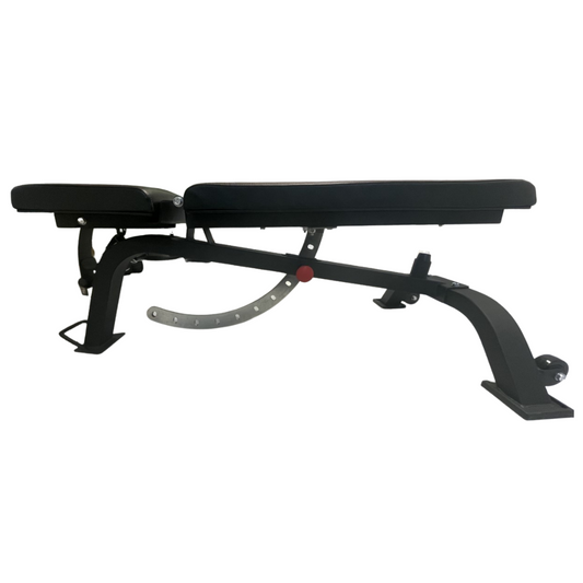 Exersci commercial workout bench