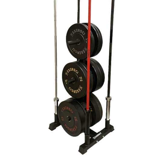 Vertical bumper and barbell storage rack from Exersci